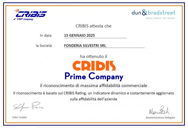 Cribis rating certificate
