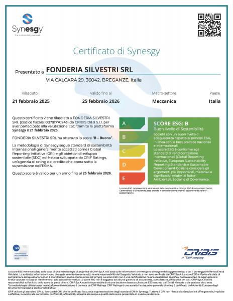Synesgy ESG Certificate